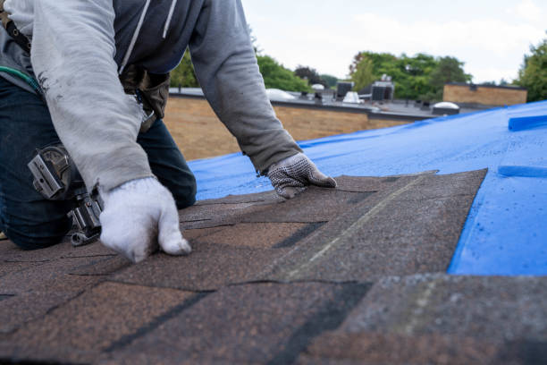 Best Shingle Roofing Installation  in Rose Hill, KS